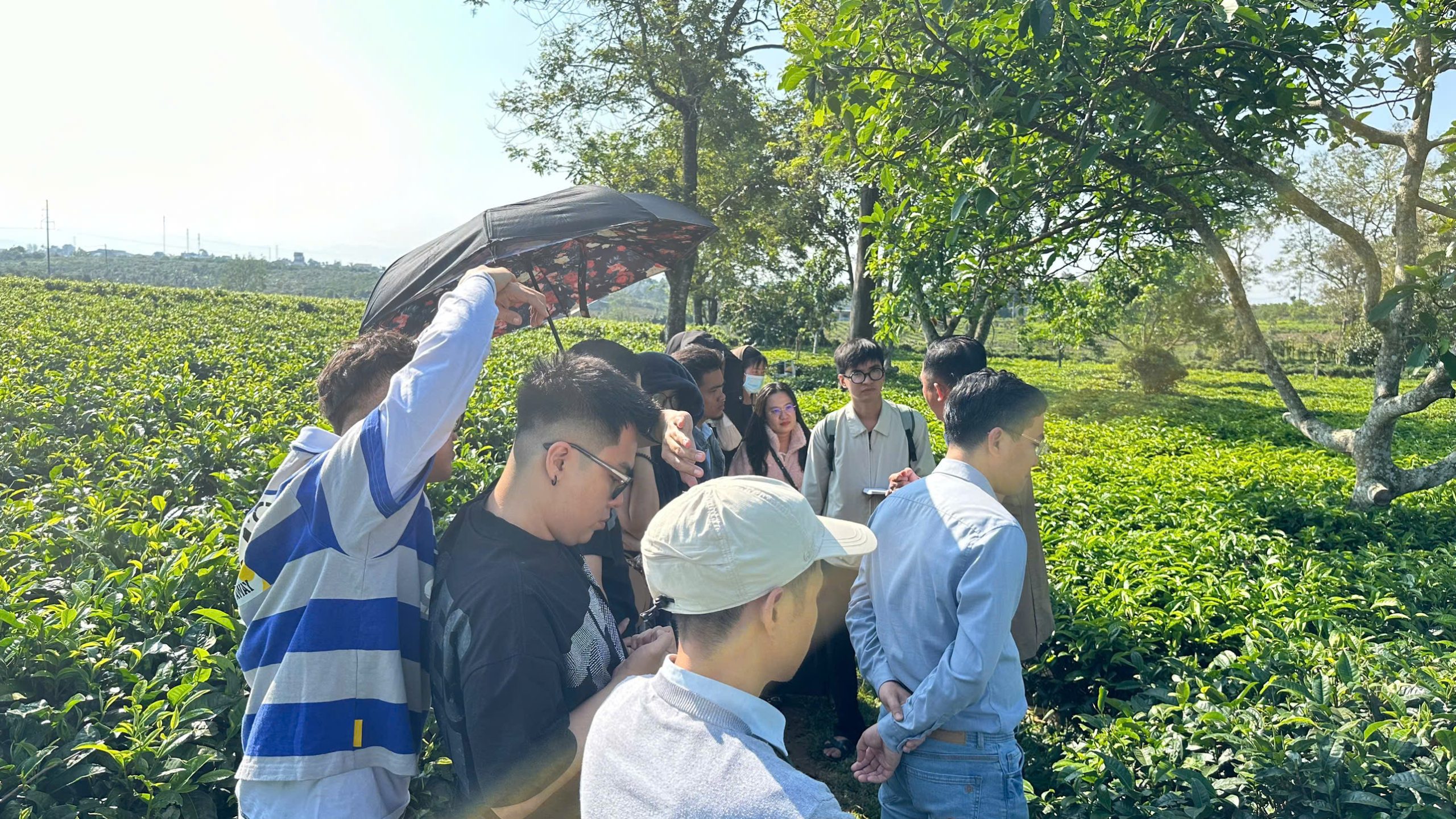 Giới Thiệu