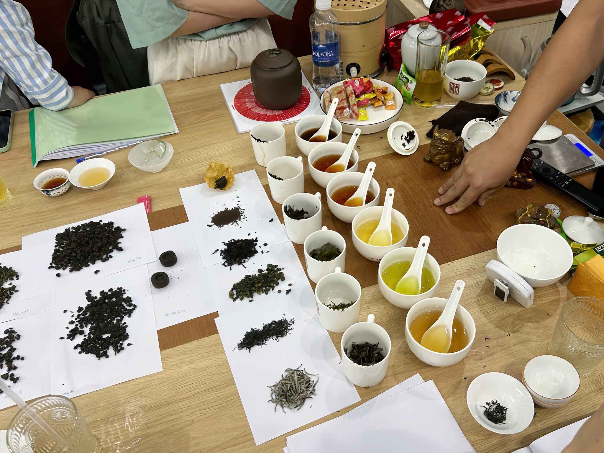 Phân biệt 6 nhóm trà chính