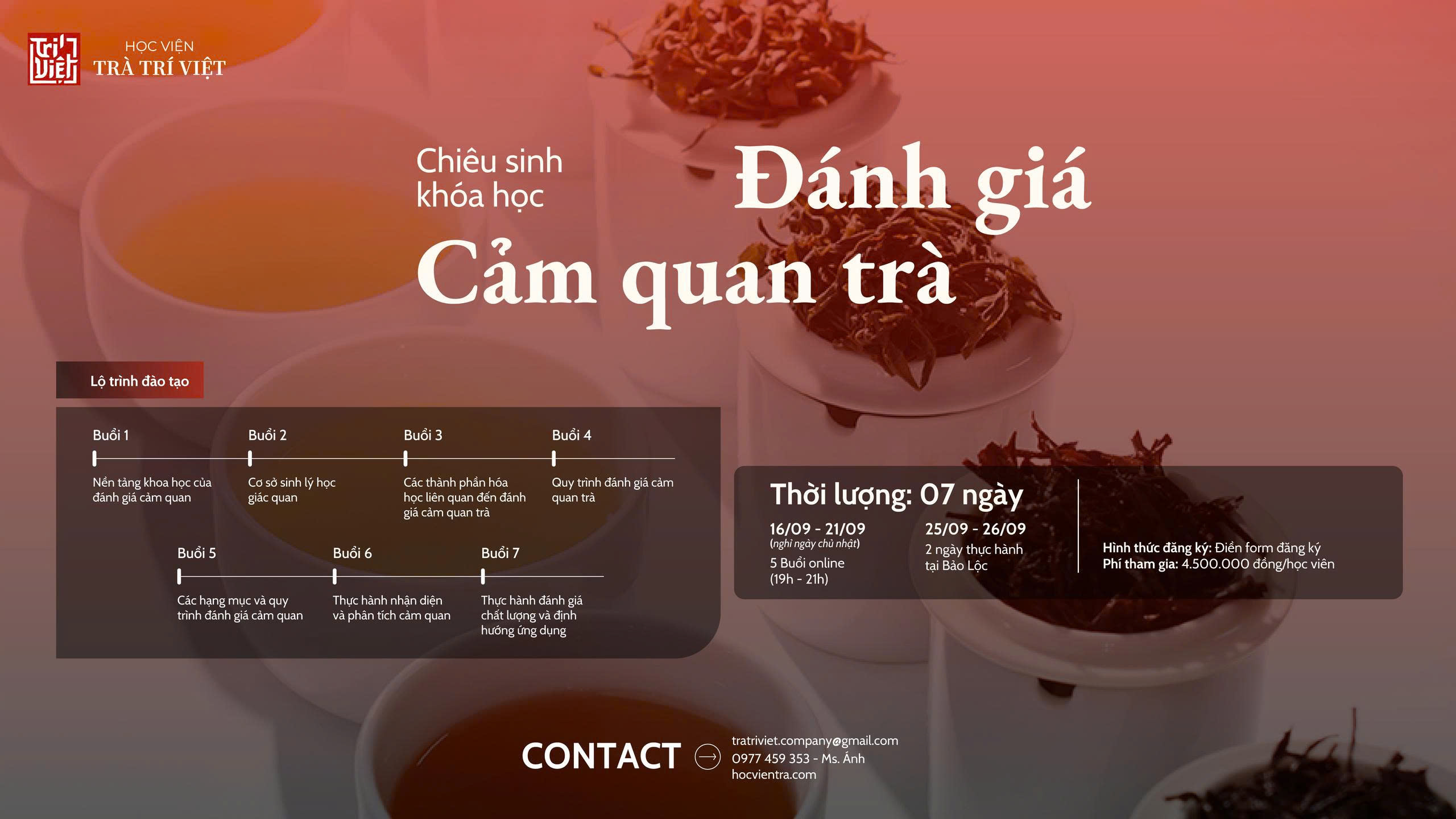 ChiÊu Sinh KhÓa HỌc "ĐÁnh GiÁ CẢm Quan TrÀ"