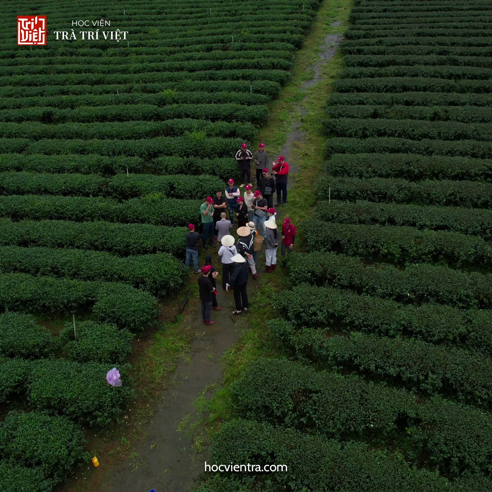 RECAP NGÀY 1 THỰC HÀNH “TỪ VƯỜN TRÀ ĐẾN CHÉN TRÀ” – KHÓA 02: BẮT ĐẦU TỪ NGUYÊN LIỆU